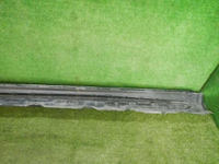 DSCN0253.jpg
