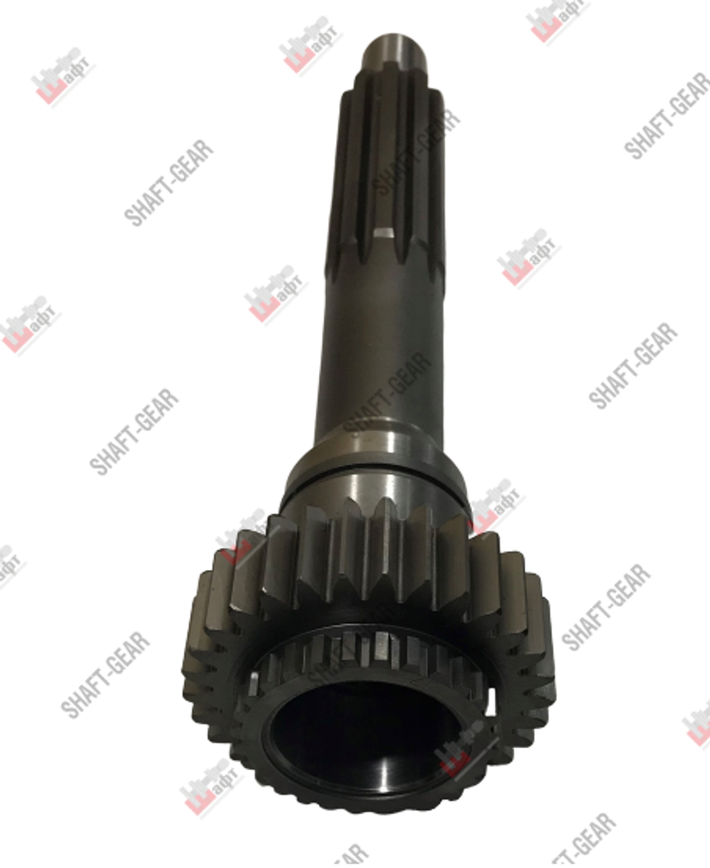 5DS50T-1701030-12 - Вал первичный на КПП