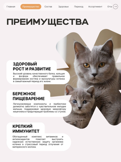 Корм сухой для котят породы Абиссинская, с индейкой, 2кг, QUATTRO