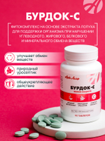 Бурдок С(новый СГР), 90 таб. Поддержка организма при нарушении обмена веществ