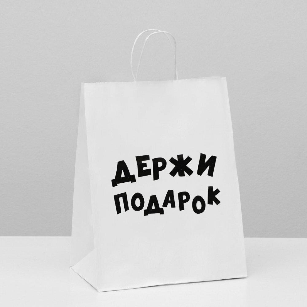 Пакет подарочный Держи подарок 24х10х30 см