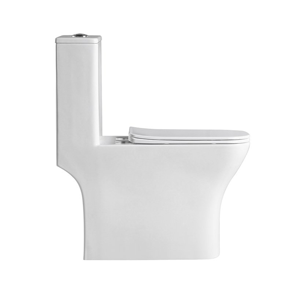 Унитаз-моноблок безободковый с сиденьем микролифт BelBagno NEON BB8617CPR-MN/SC
