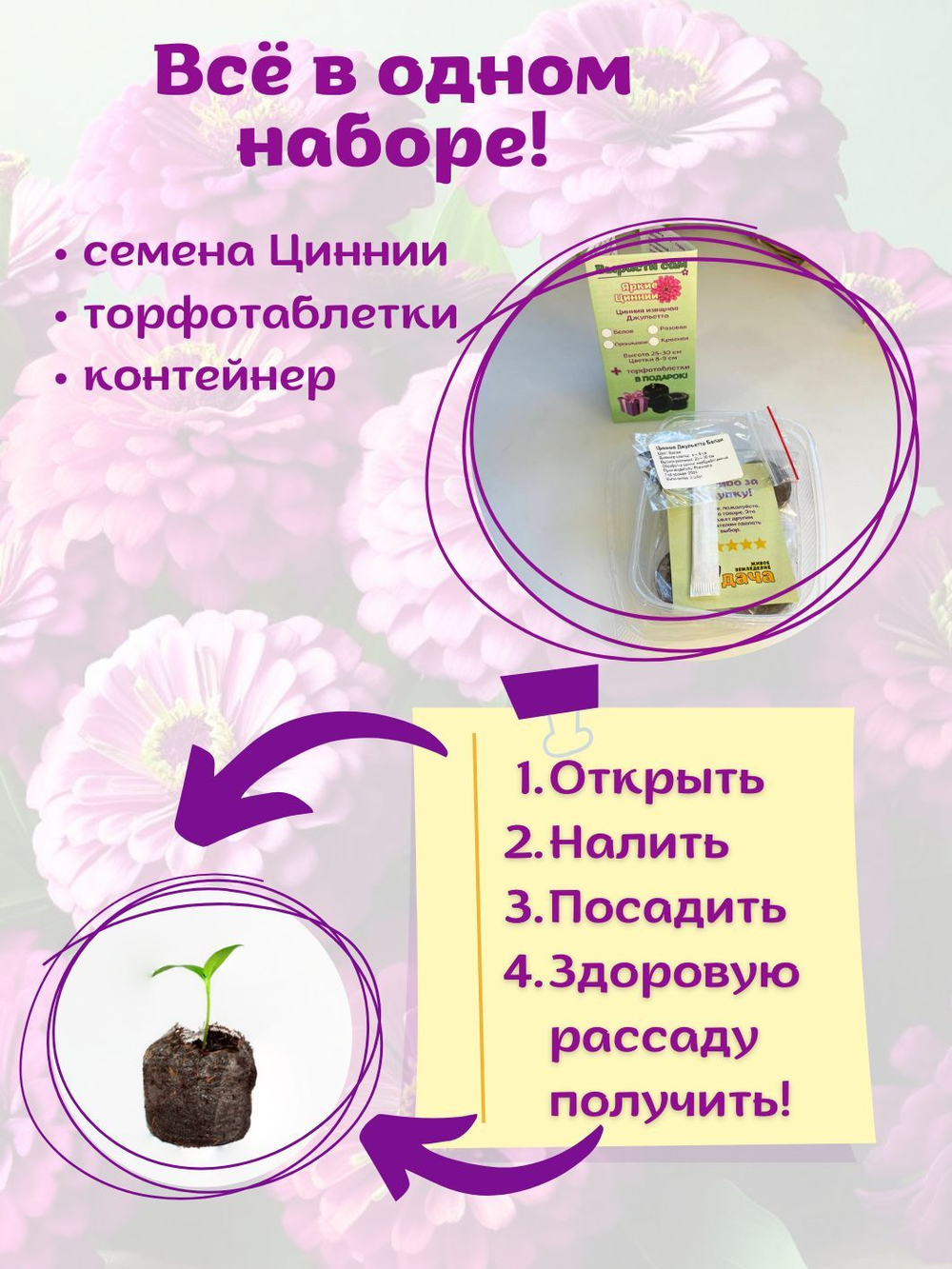 Семена Цинния низкорослая, кустовая, розовая Джульетта, семена Циния + торфяные таблетки Jiffy в подарок, 5 шт