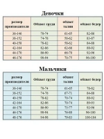 Худи удлиненная утепленная с начесом с двойным капюшоном