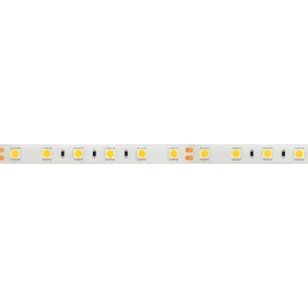 Лента RTW 2-5000SE 24V Red 2x (5060, 300 LED, LUX) (Arlight, 14.4 Вт/м, IP65)