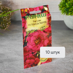 ПОРТУЛАК Текила Черри Гавриш Ц (10шт)