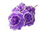 Букет роз гигант 5 голов