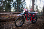 Z10 Red Black