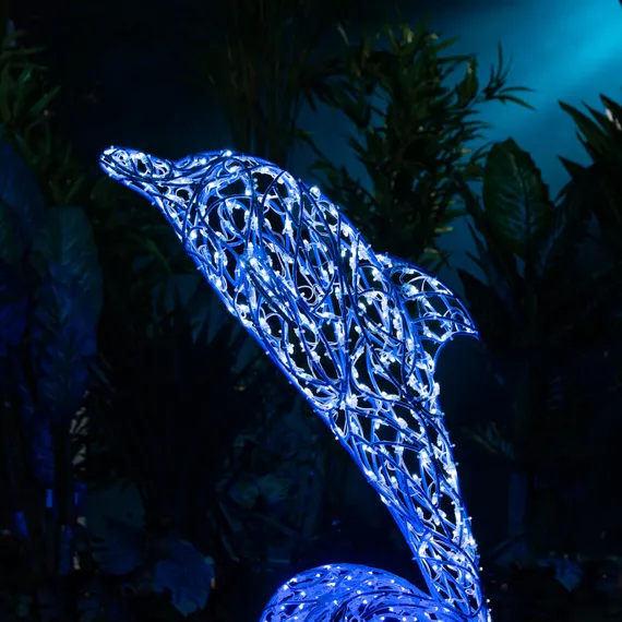 Световой Дельфин