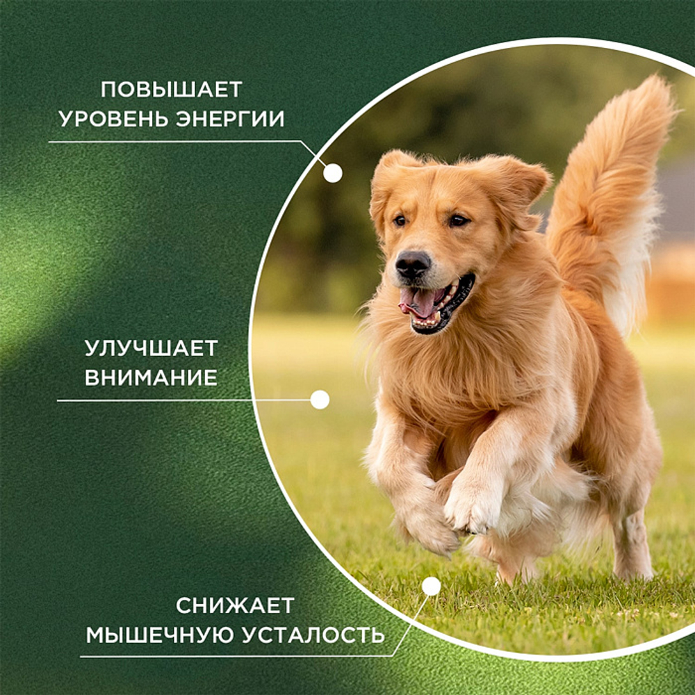 Функциональная кормовая добавка для собак и кошек ProPhyto Энерджи Буст, 30 таблеток