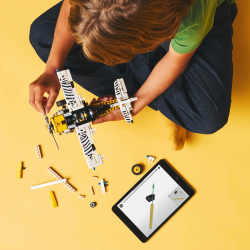 LEGO Technic - Грузовой самолет 42198