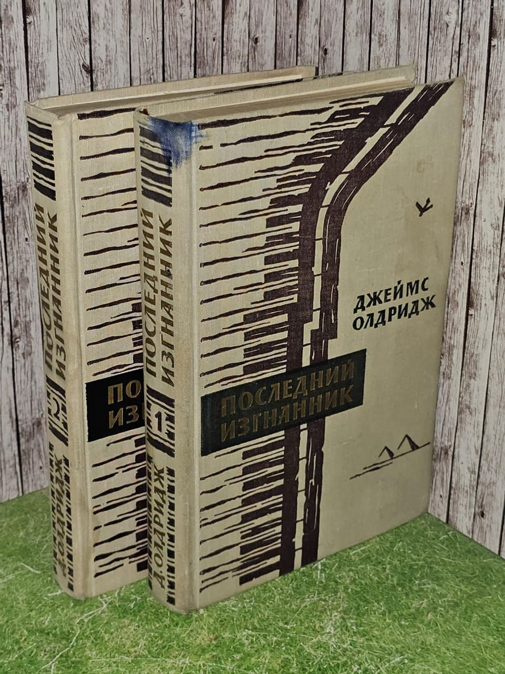 Последний изгнанник (комплект из 2 книг). Олдридж Джеймс