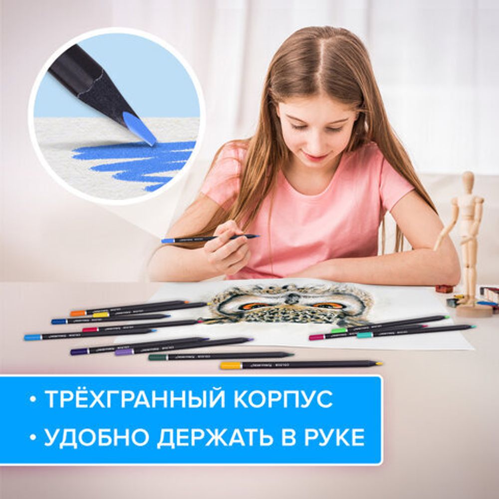 Карандаши цветные чёрное дерево BRAUBERG BLACK WOOD, 12 цветов, трехгранные, мягкий грифель 3 мм, 181948