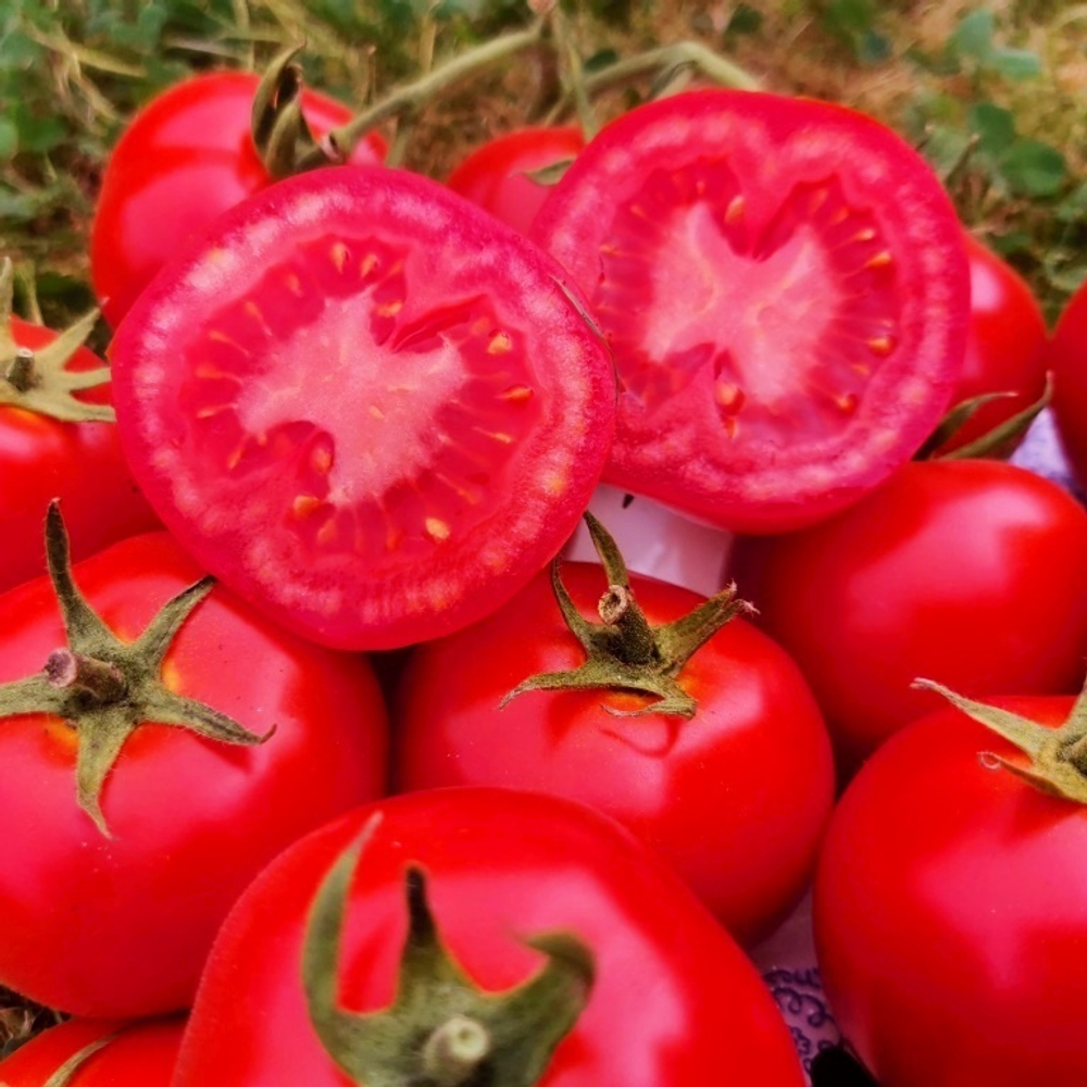 Помидоры Дикий Ангел - Muñeca Brava Tomato