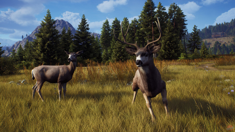 Way of the Hunter (диск для PS5, интерфейс и субтитры на русском языке)