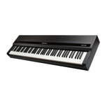 Kurzweil MPS120
