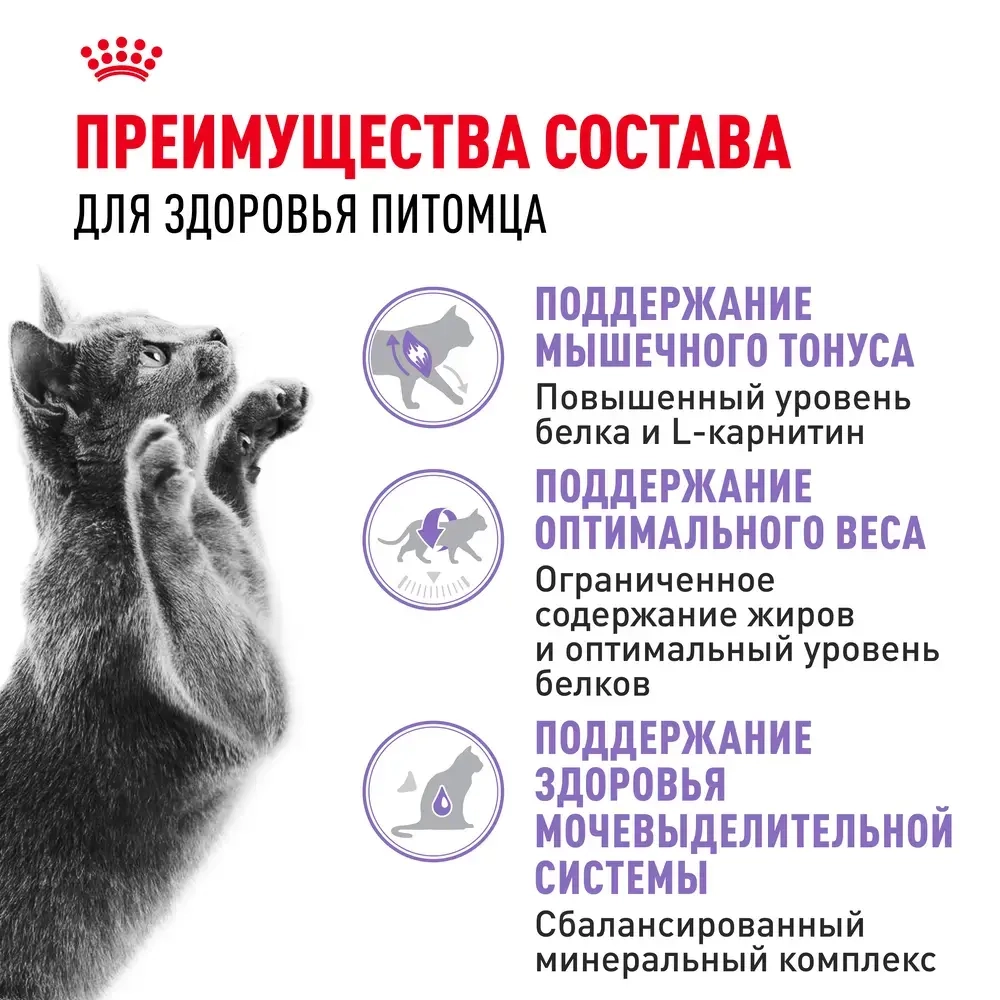 Корм Royal Canin Sterilised 37 для стерилизованных кошек, живущих в помещении, 2кг