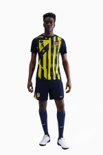Футболка Nike Atlético Madrid 25/26 Academy Pro