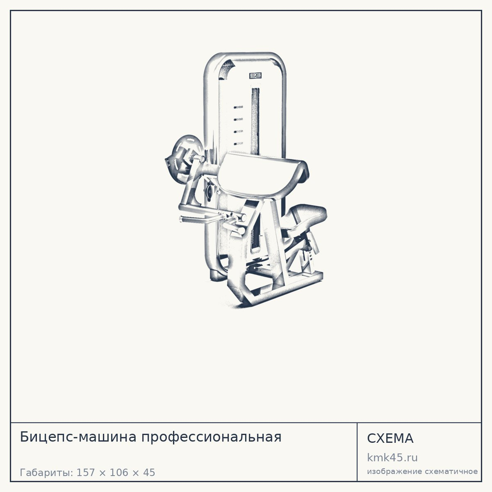 Бицепс-машина профессиональная — от 146 000 ₽