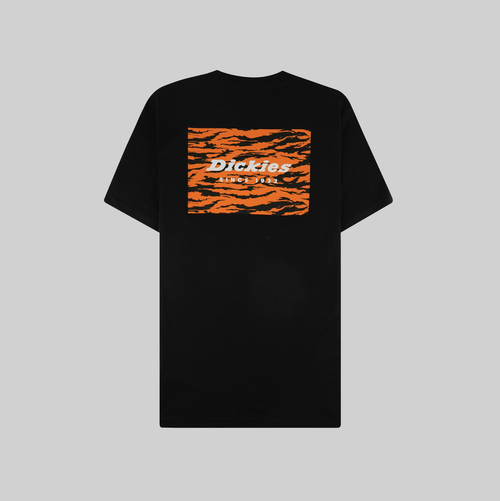 Футболка мужская Dickies Quamba артикул:DK0A4X9JBLK1 - купить в магазине Дайс