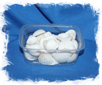 Ракушки Анадара, 4-7см, 100гр, 3шт
