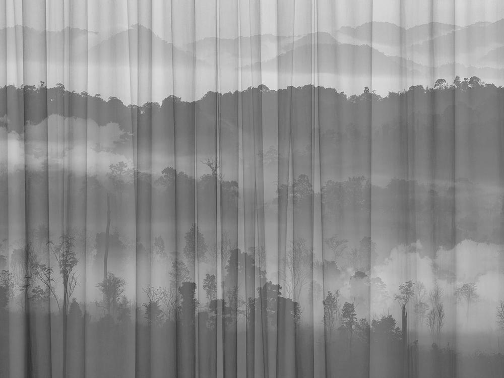 FORESTA 30