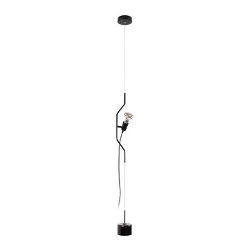 Подвесной светильник 1*Е27 10346/1 Black чёрный Parentesi LOFT IT