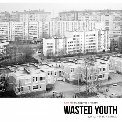 Пиво Заговор Вэйстэд Юс / Zagovor Wasted Youth 20л - кег