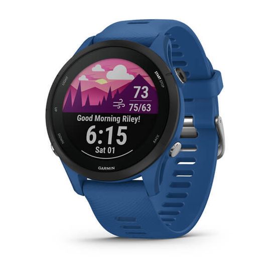 Смарт часы Forerunner 255 синие 010-02641-11