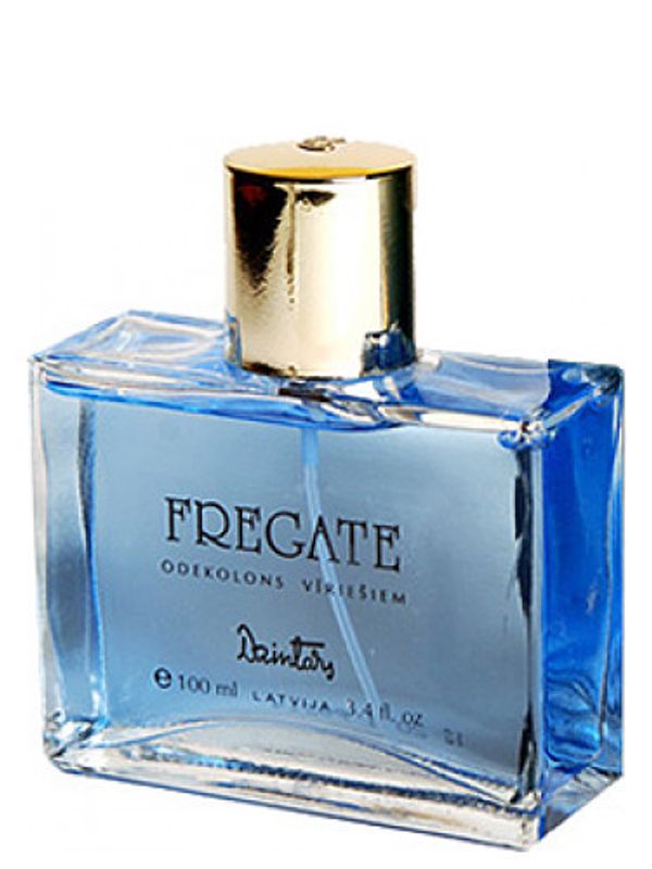 Dzintars Fregate