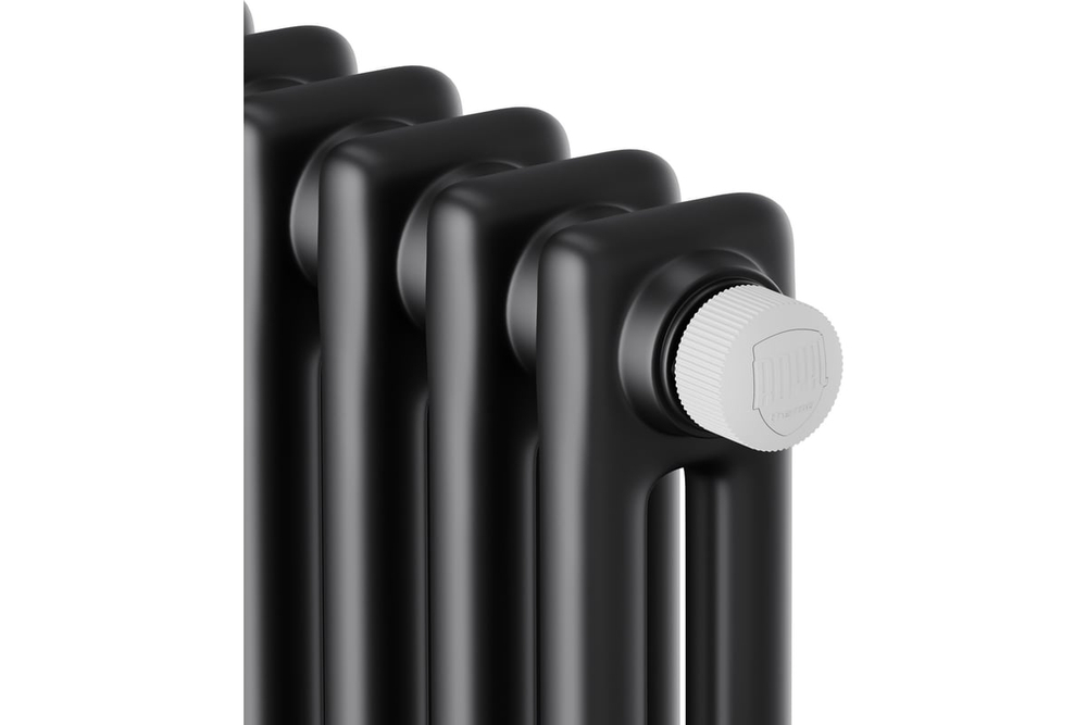 Дизайн-радиатор Royal Thermo Insignia VC2180 - 10 секц. RAL9005m НС-1631215