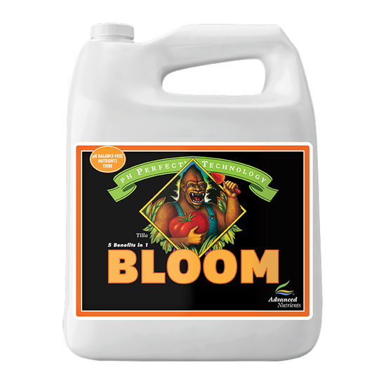 pH Perfect Bloom Advanced Nutrients 5 л Удобрение