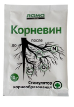 Корневин
