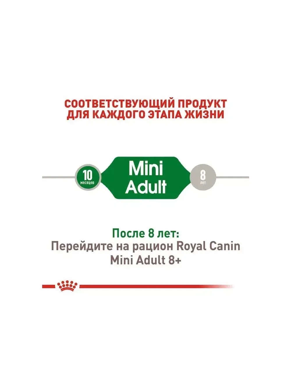 ROYAL CANIN Mini Adult PRO (Роял Канин Мини эдалт) корм сухой для собак 15 кг.