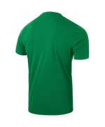 Футболка вратарская DIVISION PerFormDRY SPLASH GK Jersey, зеленый