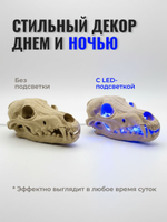 Череп волка. Анатомическая реплика в натуральную величину из PLA-пластика