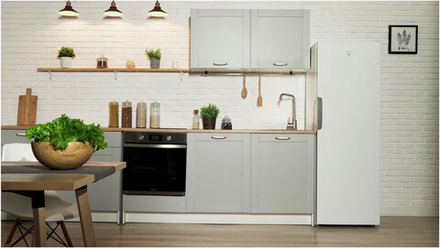 Морозильная камера INDESIT DSZ 5175 G
