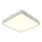 Потолочный светильник Scena A2663PL-1WH Arte Lamp