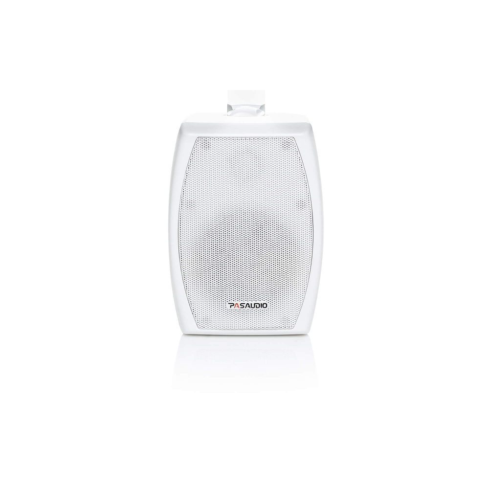 PASystem EVA-20W Настенный трансляционный громкоговоритель