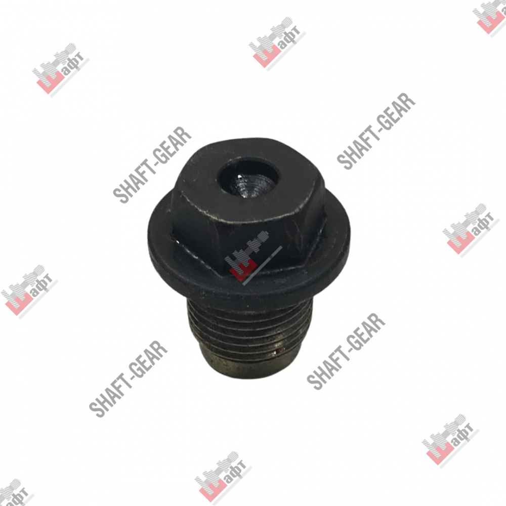 6DS50T-1702069 - Пробка на КПП