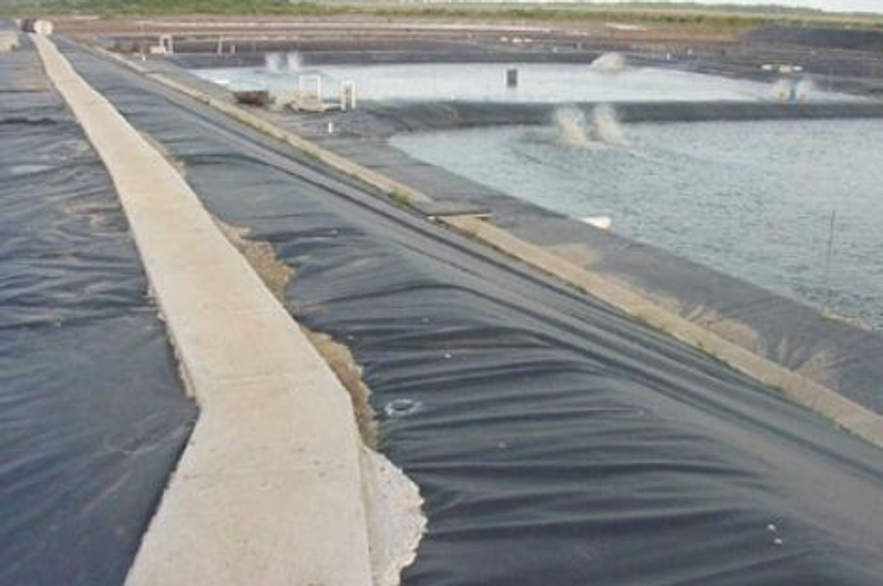 Indonesia Shrimp Farming Pond — HDPE геомембрана для повышения урожайности в аквакультуре