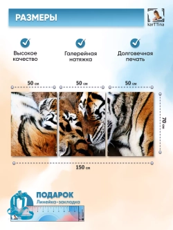 Модульная картина "Тигриная ласка" 150х70см