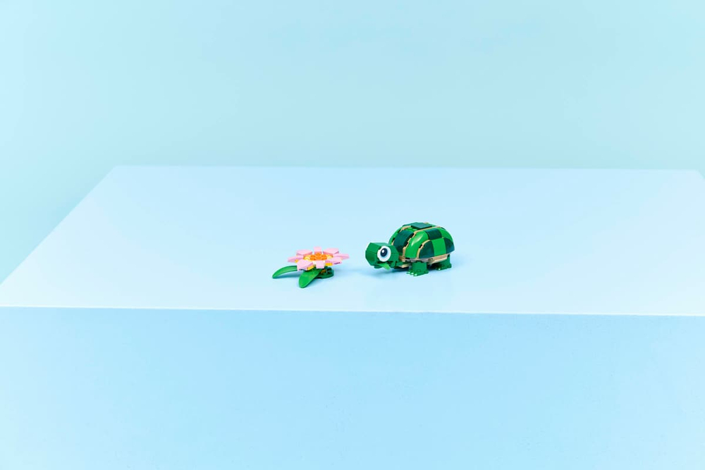 Конструктор LEGO Creator 3in1 31377 Turtle with a Water Lily Flower