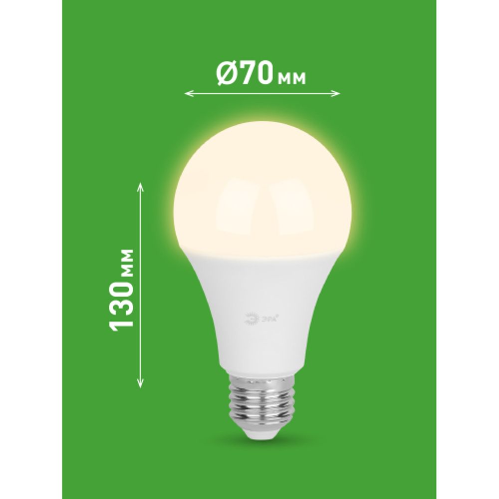 Лампа светодиодная ЭРА GREEN LINE LED A65-30W-830-E27 GL 30Вт груша теплый свет E27 | Лампы cветодиодные Груша (A)
