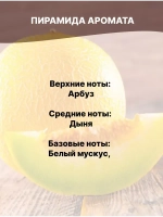Отдушка Дыня 50 гр