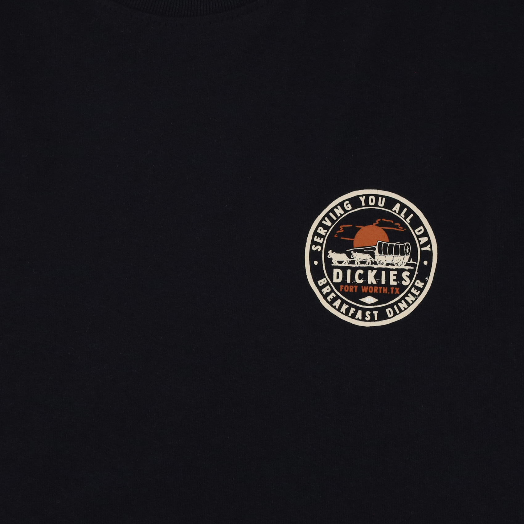 Футболка Dickies Greensburg Graphic T-Shirt (black) артикул: - купить в магазине Дайс