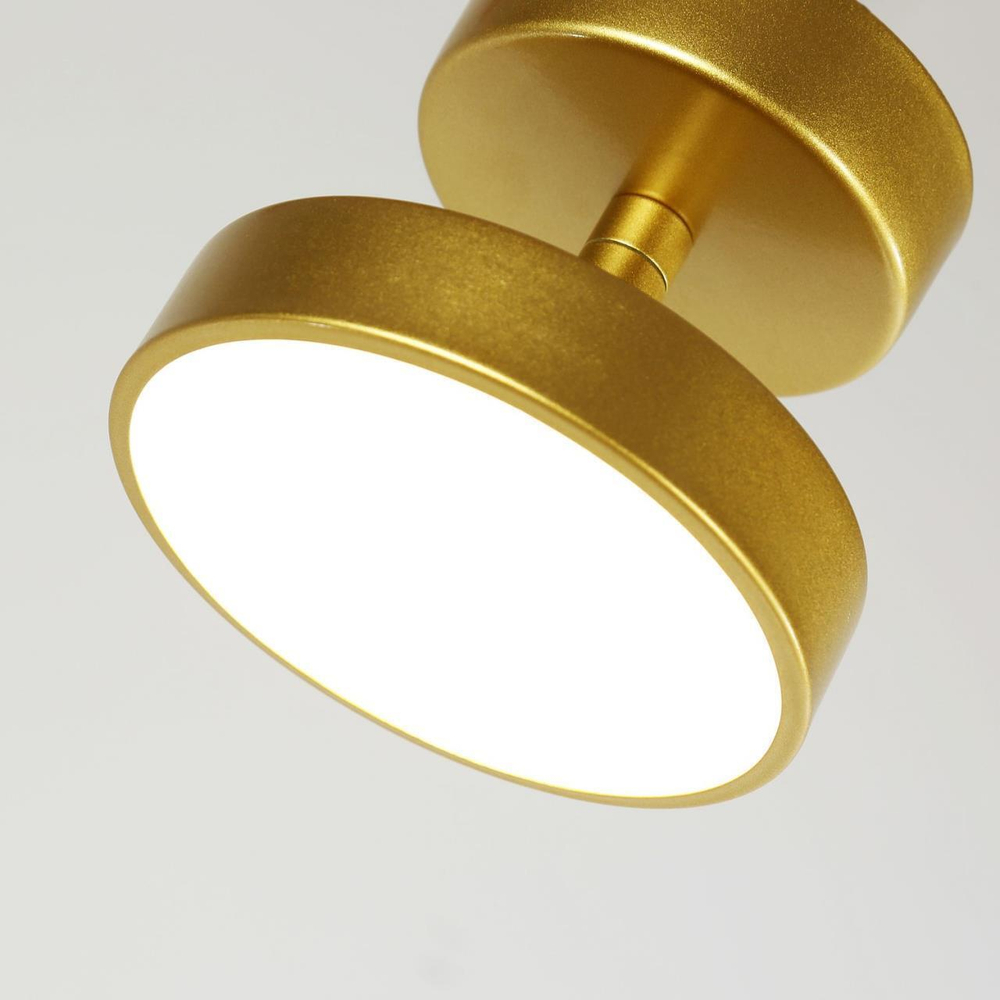 Потолочный светодиодный светильник F-Promo Atma 3059-1P