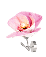 Настенная лампа Romantic Poppy