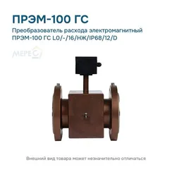 Преобразователь расхода электромагнитный ПРЭМ-100 ГС L0/-/16/НЖ/IP68/12/D