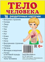 Карточки развивающие супер "Тело человека" 16 раздаточных карточек с текстом на обороте, учебно-мето